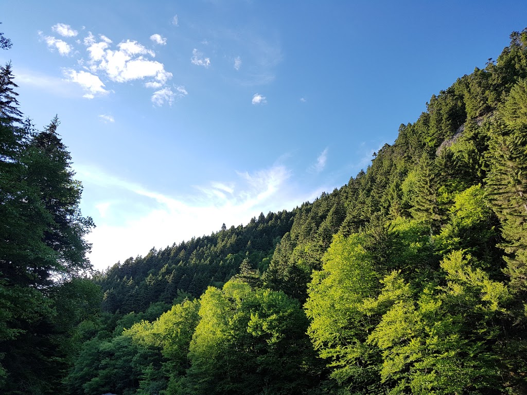 Black Hole - UNESCO Fundy Biosphere Reserve Amazing Place | Alma Parish, NB E4H, Canada | Phone: (506) 874-3272