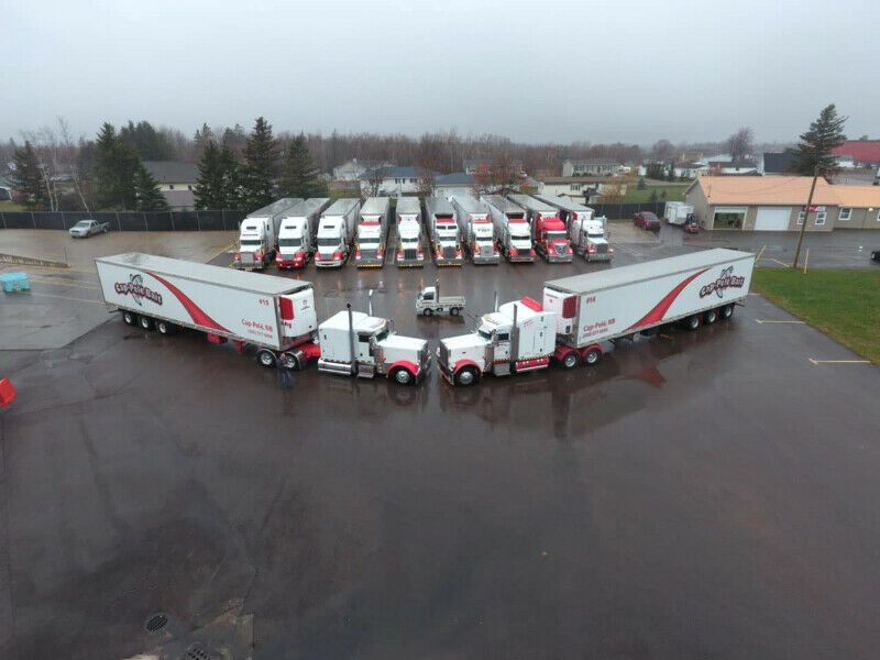 Cap Pele Bait Inc | 16 Chemin St André, Cap-Pelé, NB E4N 1Z7, Canada | Phone: (506) 577-6666