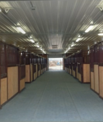 NorthernGates Stables | 29065 Melrose Road, Springfield, MB, Box 6 Group 19 RR2, Dugald, MB R0E 0K0, Canada | Phone: (204) 444-5416