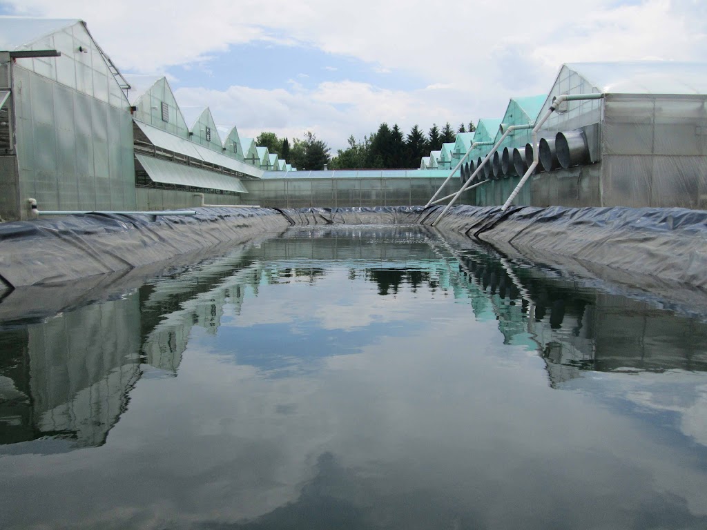 Harster Greenhouses | 250 Hamilton Regional Rd 8, Hamilton, ON L9H 5E1, Canada | Phone: (905) 628-2430