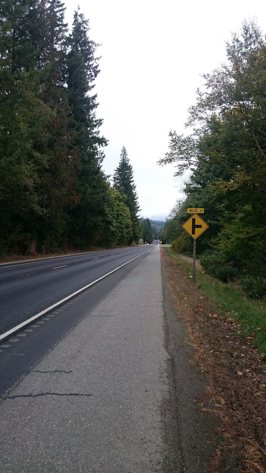 Timberline Park Llc | 7370 N Wilde Rd, Concrete, WA 98237, USA | Phone: (360) 826-3131
