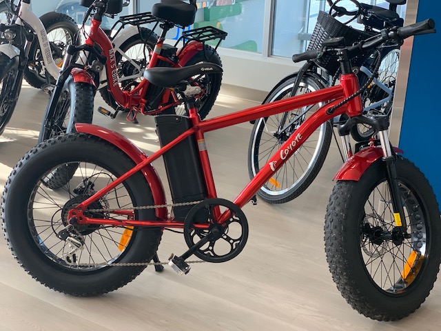 Vélos électriques de Beauce | 1565 Route 173 Sud, Saint-Joseph-de-Beauce, QC G0S 2V0, Canada | Phone: (418) 397-6573