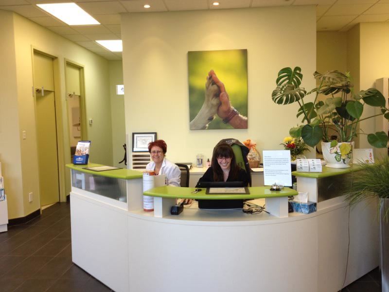 Clinique Vétérinaire Bellefeuille | 1082 Boulevard Roland-Godard, Saint-Jérôme, QC J7Y 4C6, Canada | Phone: (450) 565-0751