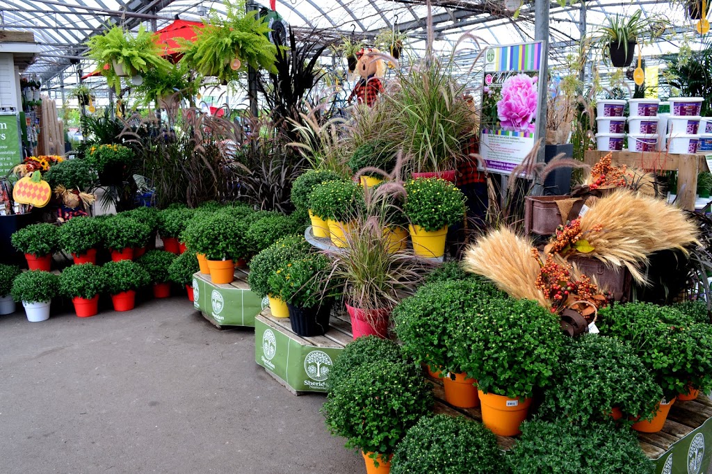 Sheridan Nurseries Limited | 100 Elmsdale Dr, Kitchener, ON N2E 1H6, Canada | Phone: (519) 743-4146