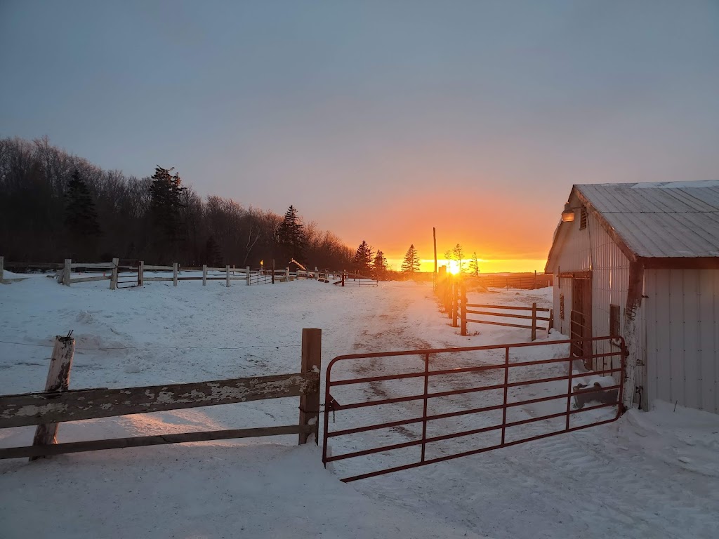 Anchor Equestrian | 18399 PE-2, North Wiltshire, PE C0A 1Y0, Canada | Phone: (306) 460-0063
