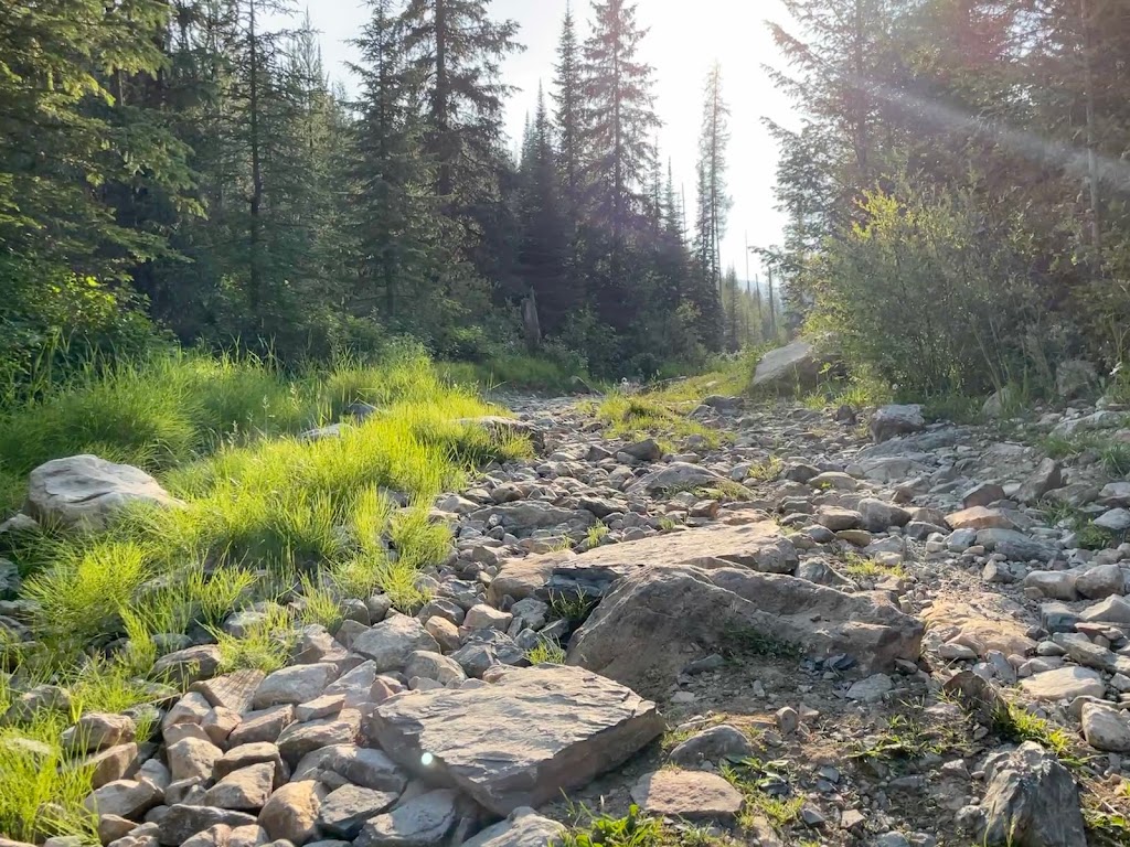 Ram Creek Hot Springs | White Ram Forest Service Rd, East Kootenay, BC V0B 2E0, Canada | Phone: (604) 265-2876