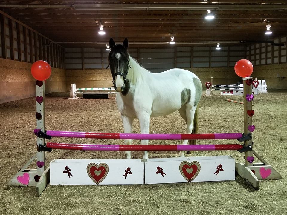 Devon Ridge Farms | 51108 Range Rd 272, Spruce Grove, AB T7Y 1H5, Canada | Phone: (780) 902-1954