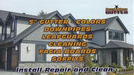 Busy Bee Gutter | 5280 3 Ave, Delta, BC V4M 1E7, Canada | Phone: (604) 788-3991