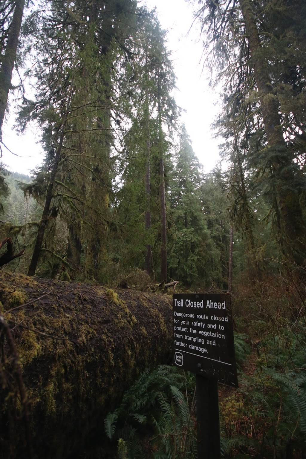 Carmanah Walbran Provincial Park | British Columbia V0S 1K0, Canada | Phone: (877) 559-2115