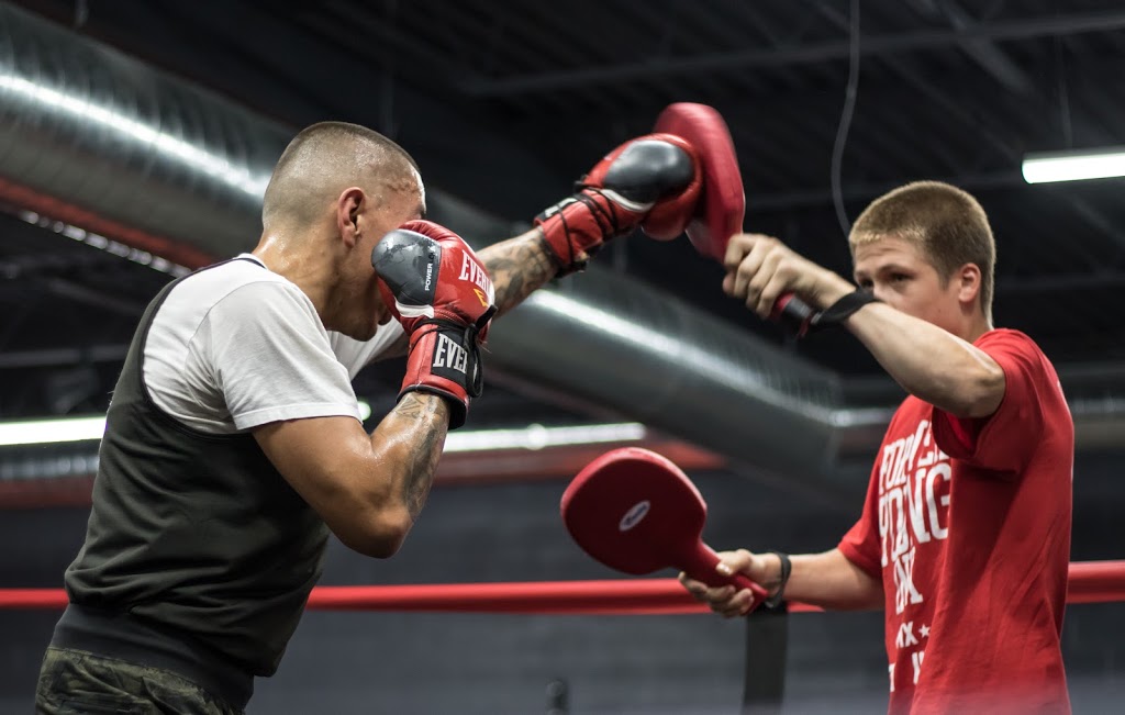 Budo Canada | 38C Apex Rd, North York, ON M6A 2V2, Canada | Phone: (416) 780-1300