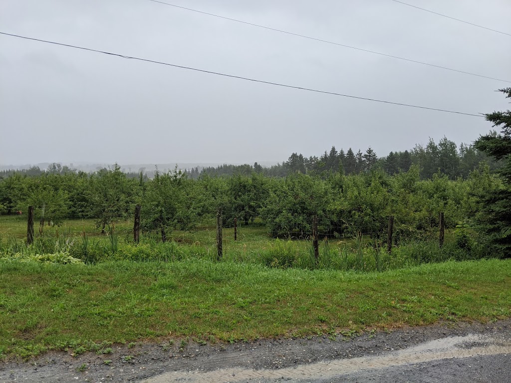 Verger Les Champs Vallons | 331 Chemin Brome, Fulford, QC J0E 1S0, Canada | Phone: (514) 916-4165