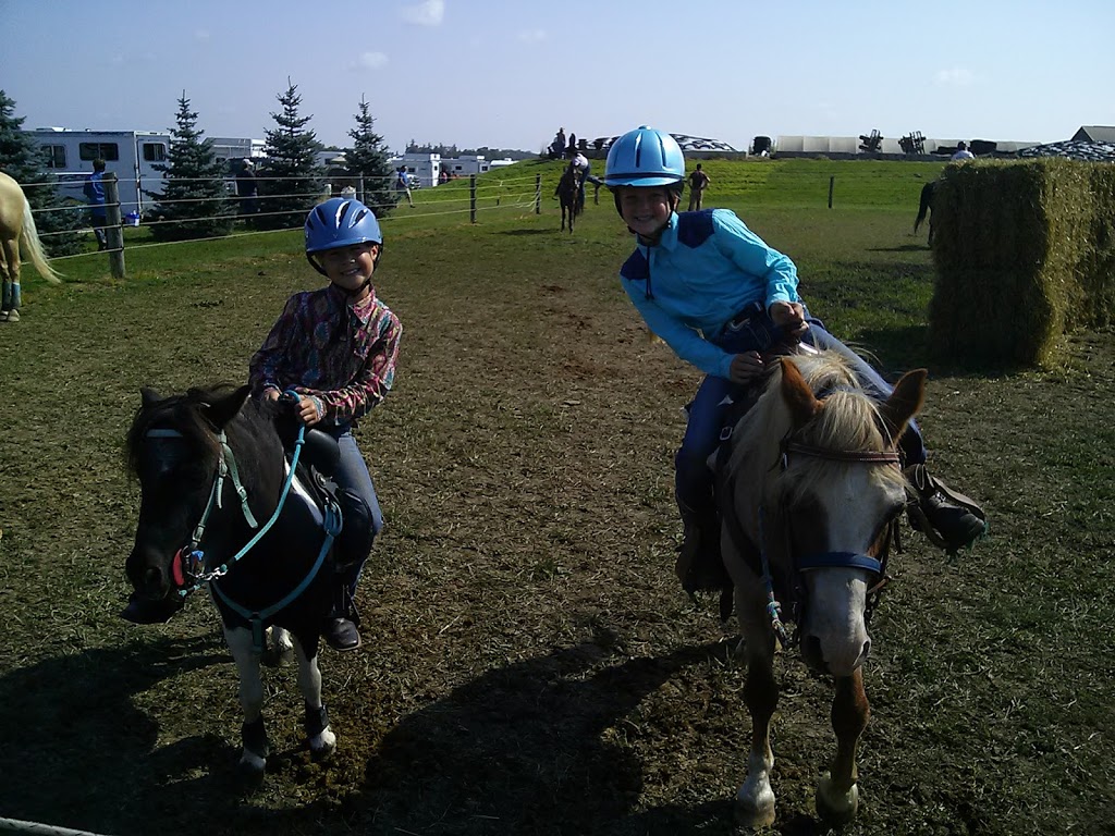 Terra Nova Farms Ltd | 676212 16 Line, Bright, ON N0J 1B0, Canada | Phone: (519) 532-6077