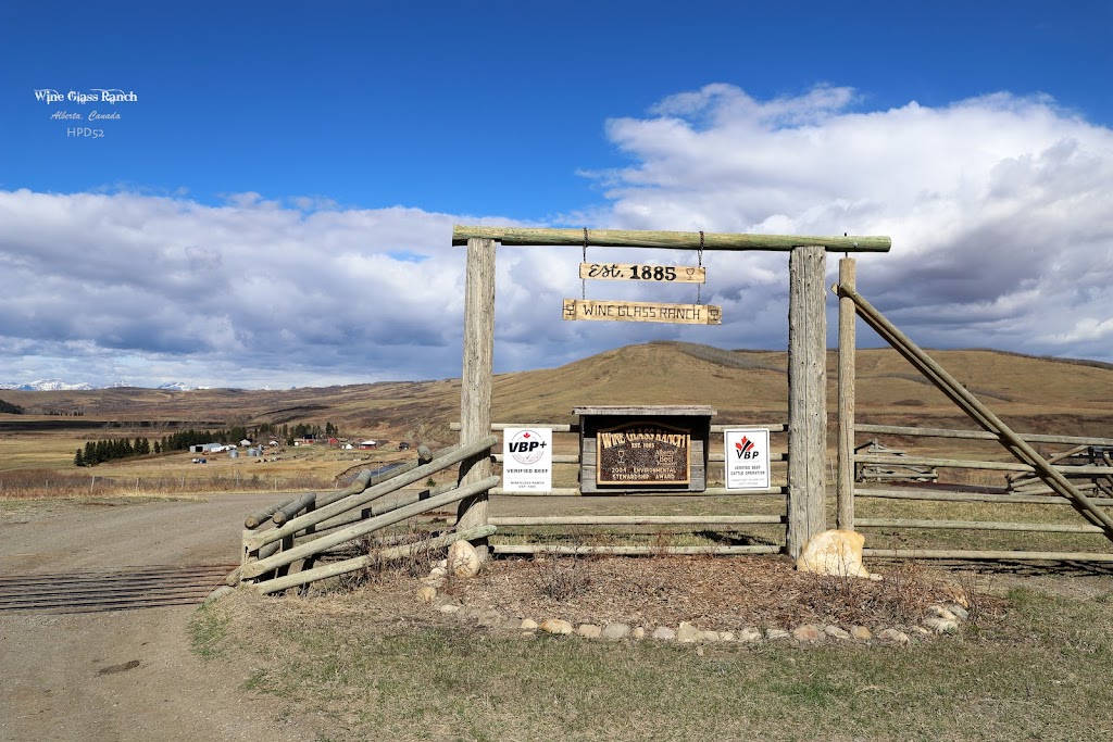 WineGlass Ranch | 253197 Towers Trail, Cochrane, AB T4C 1A5, Canada | Phone: (403) 807-3988