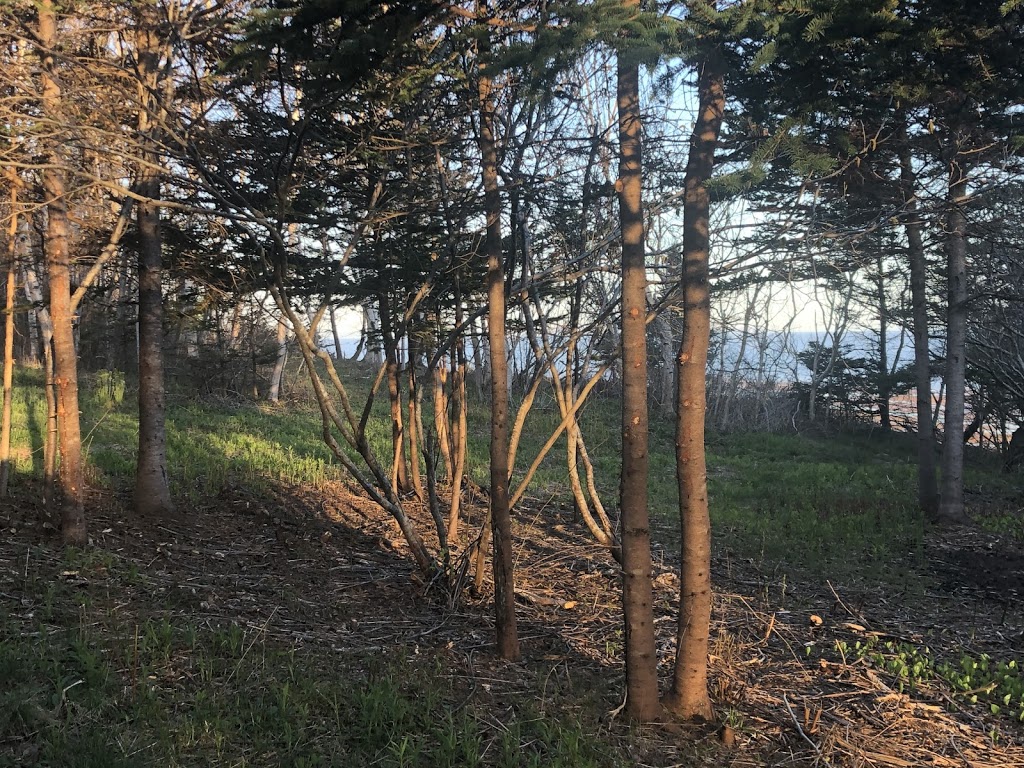 Paradise by the Bay Campground | 2107 NS-215, Walton, NS B0N 2R0, Canada | Phone: (902) 369-2076