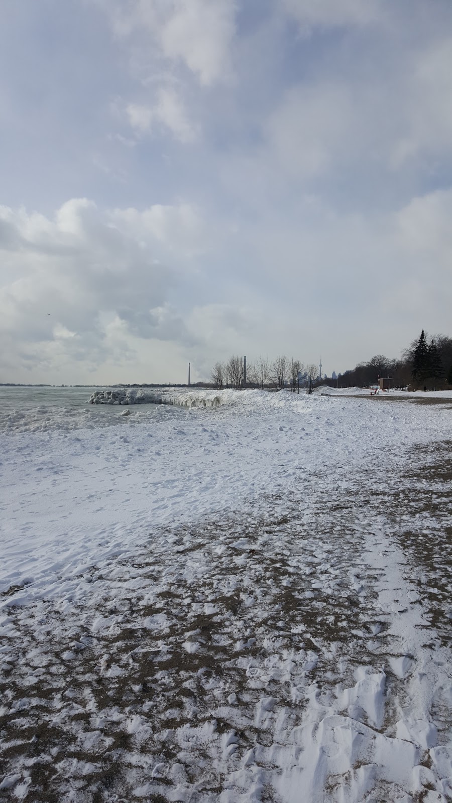 Beaches Hangout | Martin Goodman Trail, Toronto, ON M4L 1B8, Canada