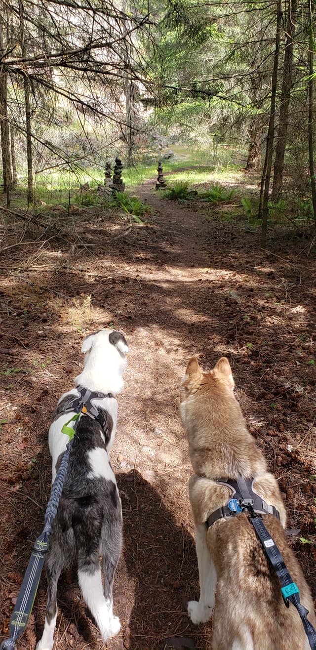 Pass Lake Trailhead | Fidalgo Island, Anacortes, WA 98221, USA