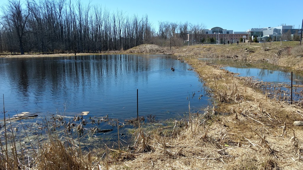 Dunsmore Park | 165 Dunsmore Ln, Barrie, ON L4M 6Z8, Canada