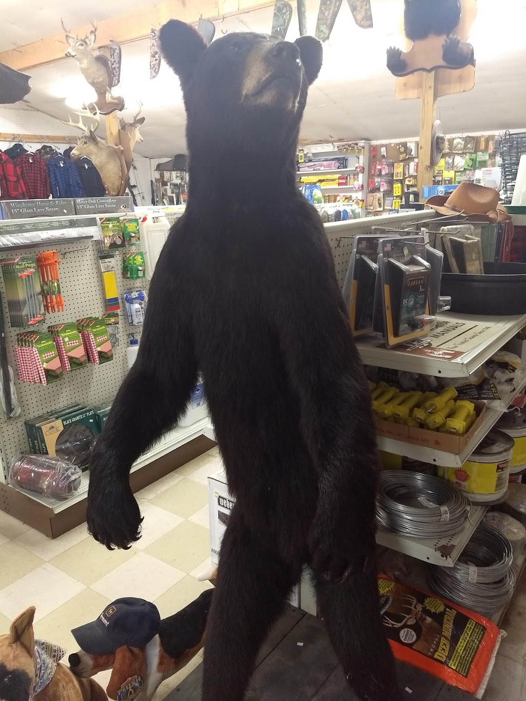 EVANSVILLE TRADING POST | 645 Evansville Rd, Brownington, VT 05860, USA | Phone: (802) 754-6305