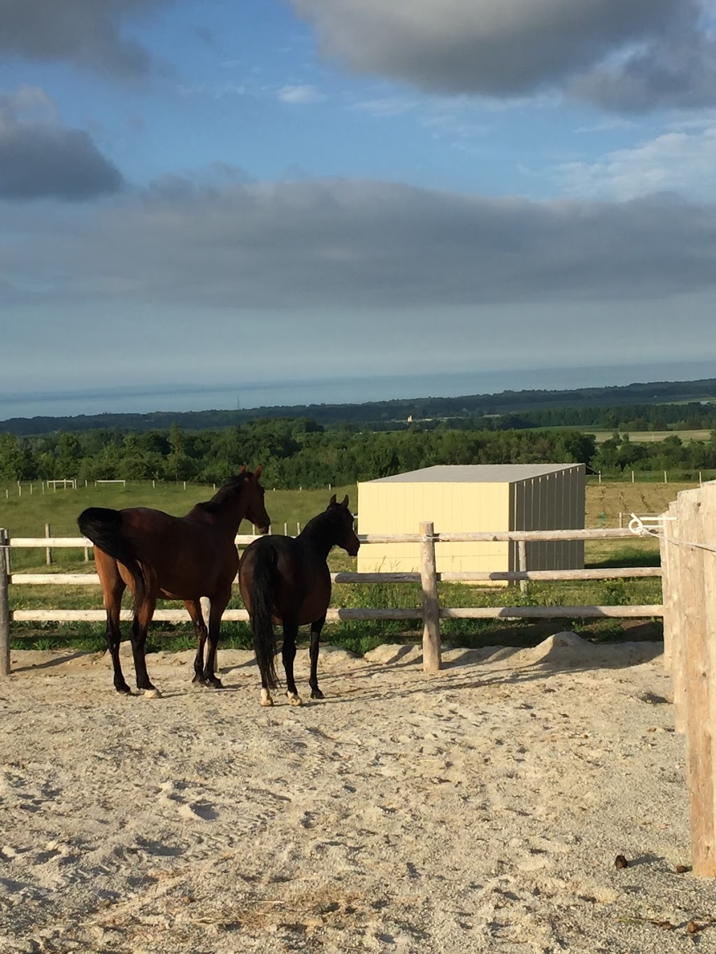 Harmony Ridge Equestrian Center | Grey Highlands, ON N0H 1J0, Canada | Phone: (705) 888-7669