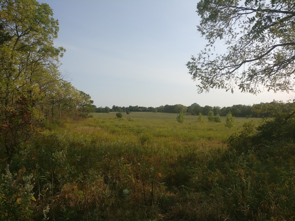 Weldon Park | 11 St Johns Dr, Arva, ON N0M 1C0, Canada