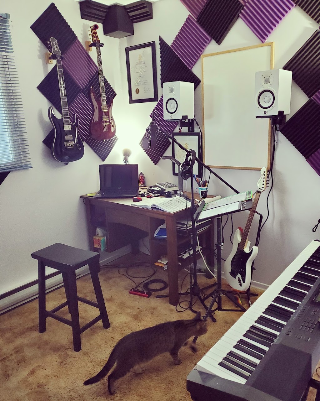 Rachel Loerts Music | 15 Dudley Crescent, London, ON N6E 1S3, Canada | Phone: (519) 566-3957