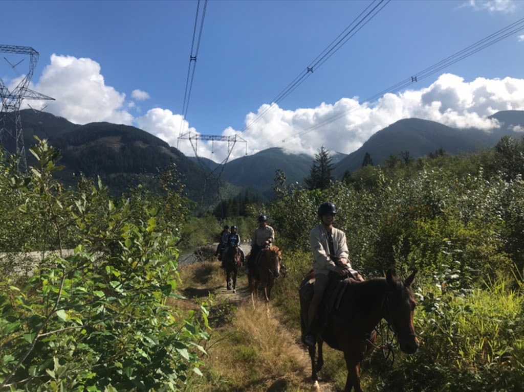 Mustang Riding Stables | 14729 Sylvester Rd, Fraser Valley F, BC V2V 0B9, Canada | Phone: (604) 826-1800