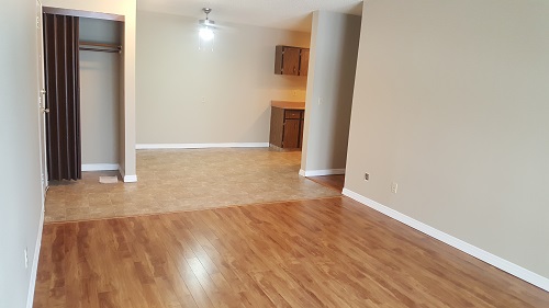 Greenview Apartments | 3803 55 St NW, Edmonton, AB T6L 2E1, Canada | Phone: (780) 916-0264