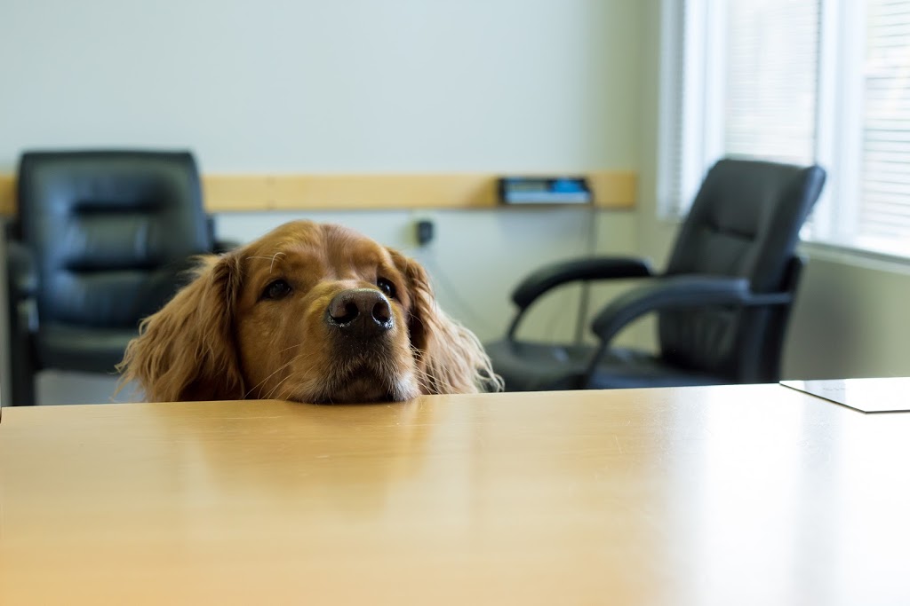 Madeira Park Veterinary Hospital Ltd | 12890 Madeira Park Rd, Madeira Park, BC V0N 2H0, Canada | Phone: (604) 883-2488