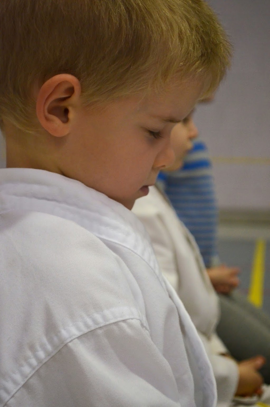 Karate Budo Kwai St-Jérome | 1155 Avenue du Parc, Saint-Jérôme, QC J7Z 6X6, Canada | Phone: (450) 431-1444