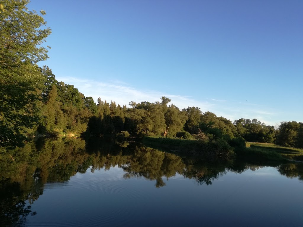Cleason B Martin | 1346 Three Bridges Rd, St. Jacobs, ON N0B 2N0, Canada | Phone: (519) 664-2188