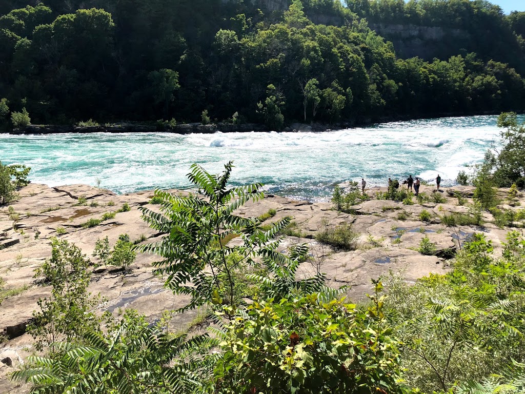 De Veaux Woods State Park | 3180 De Veaux Woods Dr E, Niagara Falls, NY 14305, USA | Phone: (716) 284-4691