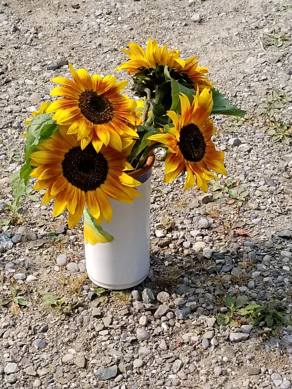 Stone House Farm Sales | 20511 Heart Lake Rd, Caledon Village, ON L7K 2A8, Canada | Phone: (416) 697-7792