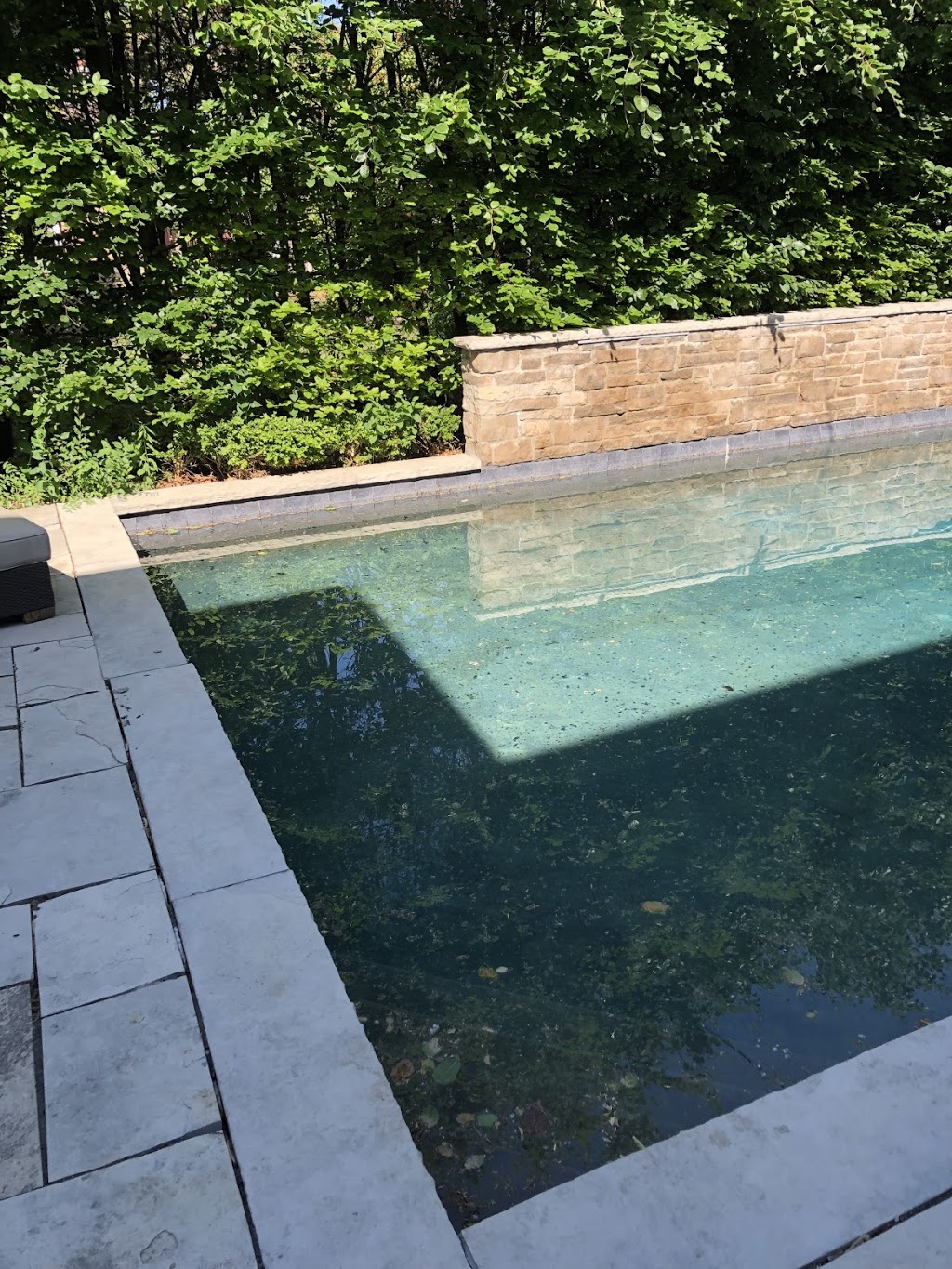 Tecum Pools and Spa | 19 Degrey Ct, Scarborough, ON M1G 1N5, Canada | Phone: (647) 407-7289