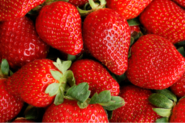 Unifruits | 2105 Rang Papineau, Saint-Paul-dAbbotsford, QC J0E 1A0, Canada | Phone: (450) 948-0737