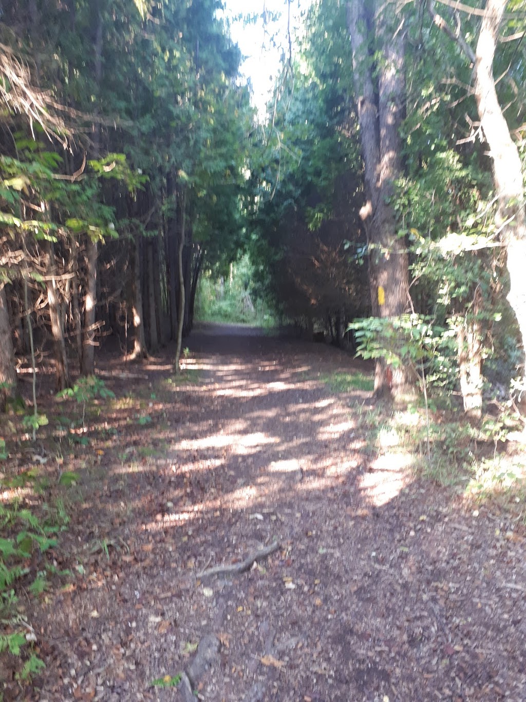 Hiking Trail | Conservation Rd, Guelph/Eramosa, ON N1H 6J1, Canada