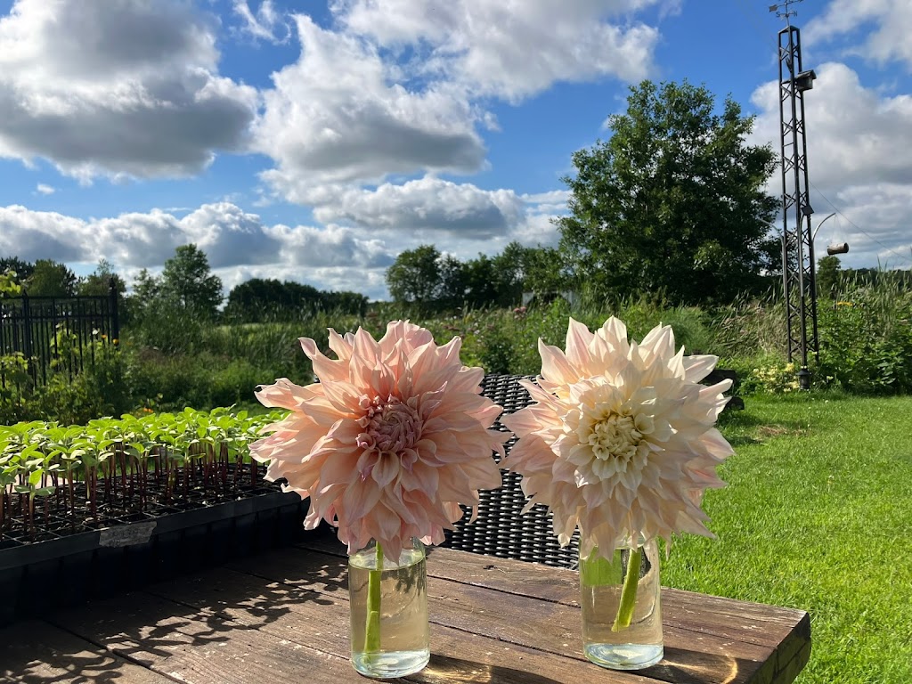 La Petite Ferme Florale | 650 Chem. de Lavaltrie, Lavaltrie, QC J5T 3K8, Canada | Phone: (514) 839-2635