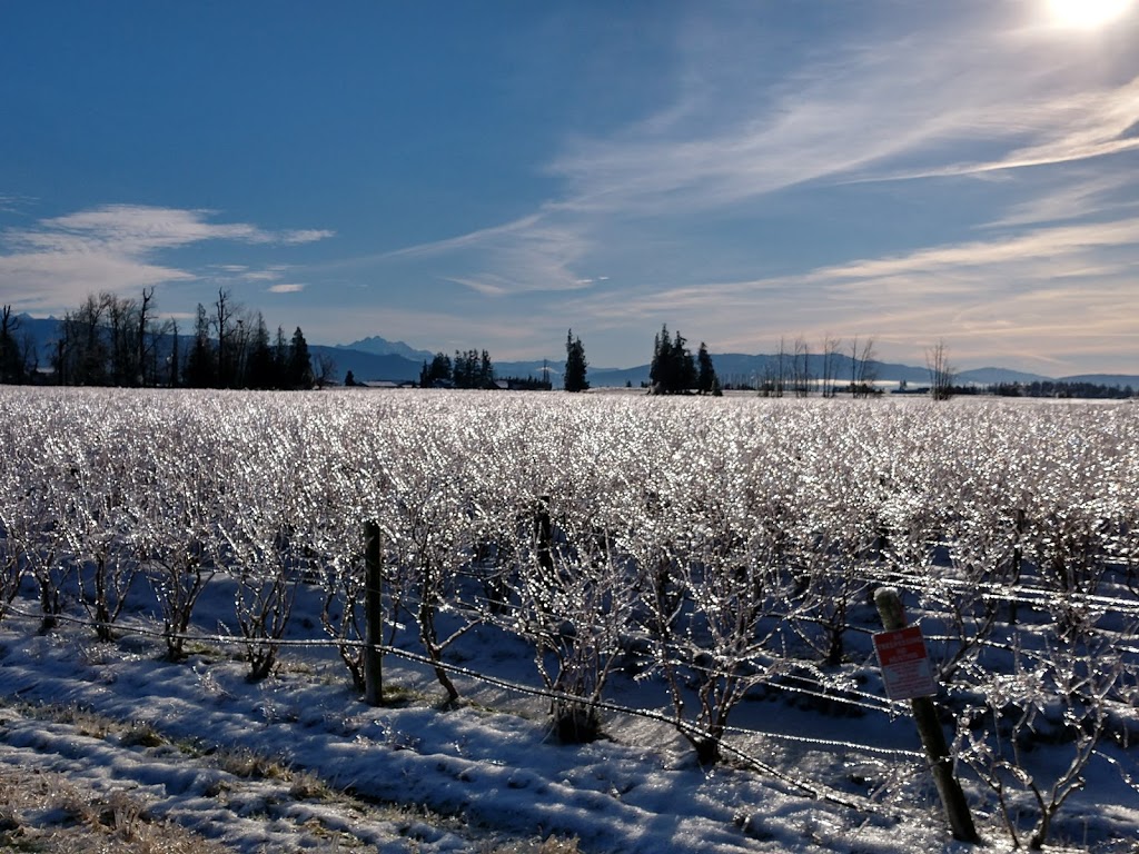 Pioneer Park Cooperative Housing Association | 27111 0 Ave, Aldergrove, BC V4W 2S9, Canada | Phone: (604) 856-6100