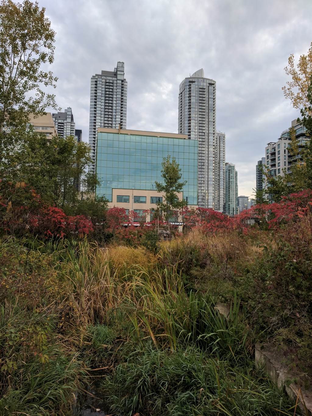 Spadina Quay Wetlands | 441 Queens Quay W, Toronto, ON M5V 2Y3, Canada | Phone: (416) 338-4386