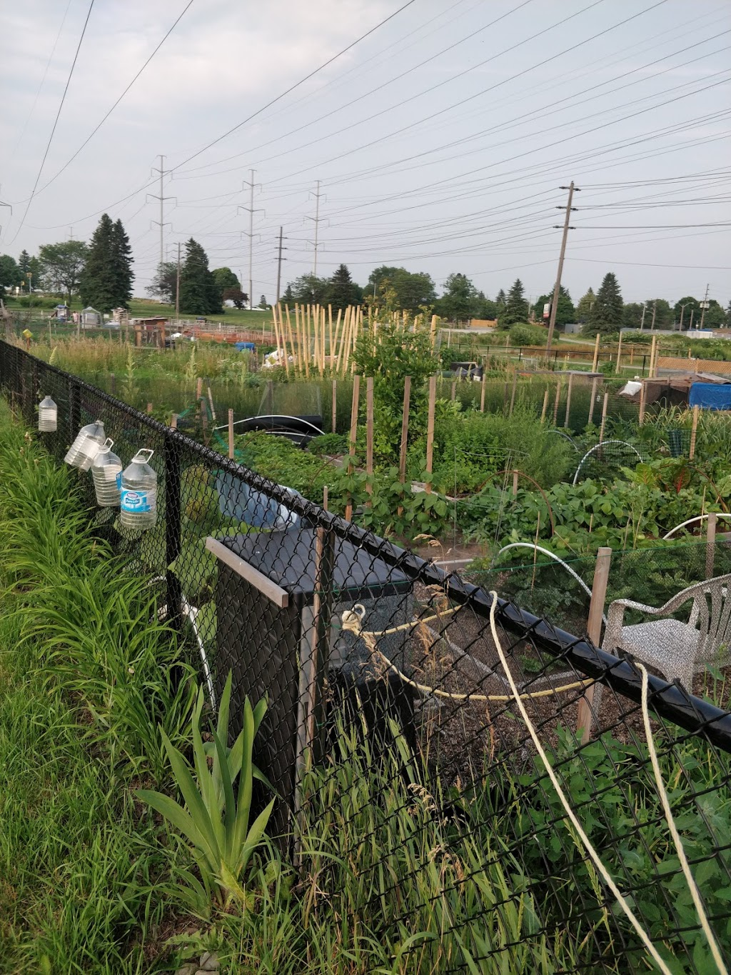 Daventry Gardens | Gatineau Hydro Corridor, Scarborough, ON M1H, Canada