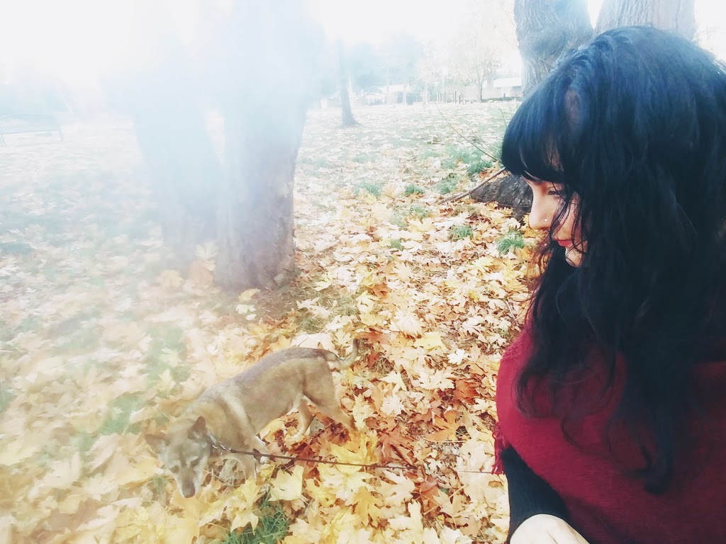 Boundary Bay Cemetery | 856 56 St, Delta, BC V4L, Canada | Phone: (604) 943-4445