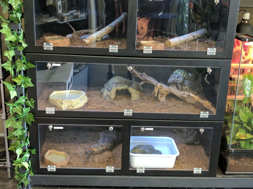 Niagara Exotics | 150 Hartzel Rd, St. Catharines, ON L2P 1N9, Canada | Phone: (905) 984-8657