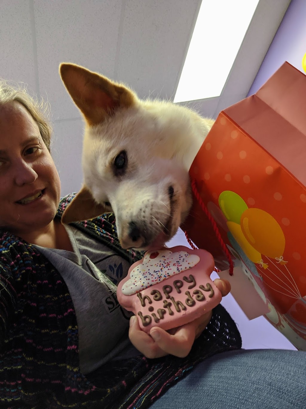 Senior Paws Pet Services | 36 Brookshire Ct Unit 6, Bedford, NS B4A 4E2, Canada | Phone: (902) 431-4244