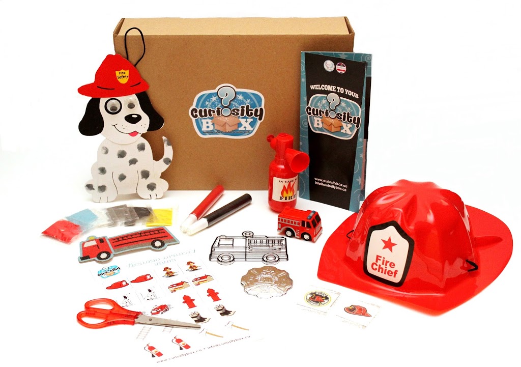 Curiosity Box | 403269 Robinson Rd, Ingersoll, ON N5C 3K1, Canada | Phone: (800) 485-6082