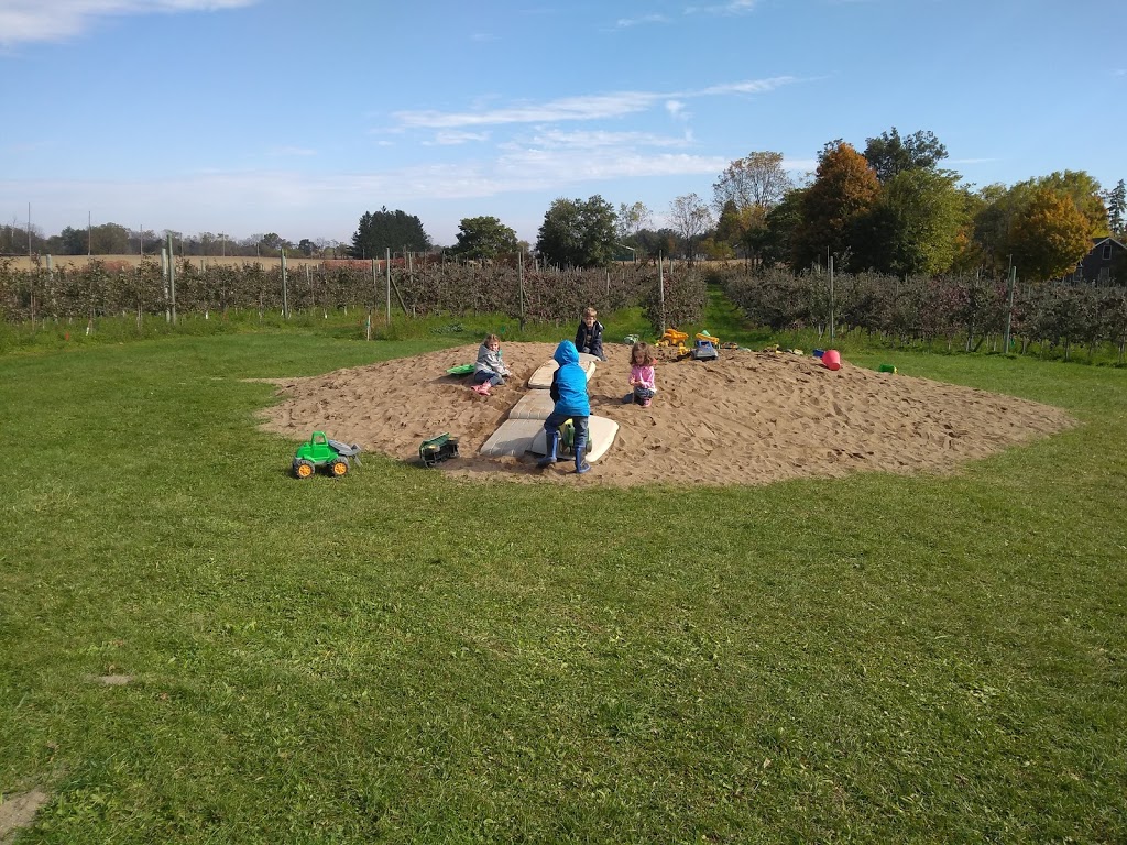 Brantview Apples And Cider | 225 Howell Rd, Saint George, ON N0E 1N0, Canada | Phone: (519) 448-1323