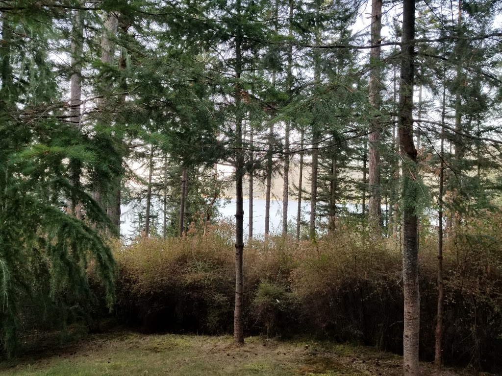 Laughing Moon Farm | 482 Osprey Ln, Eastsound, WA 98245, USA | Phone: (360) 376-7879