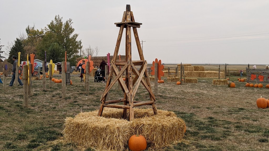 Molnars Pumpkin Festival | Range Rd 173, Barnwell, AB T0K 0B0, Canada | Phone: (403) 315-0728