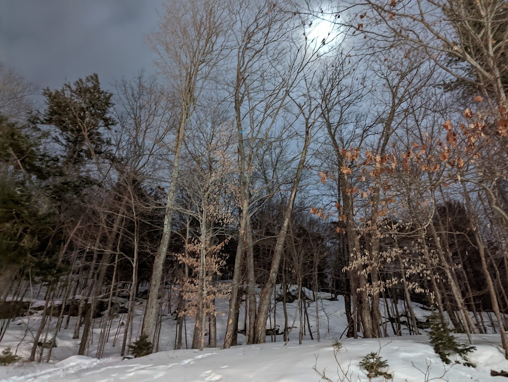 Eclipse - Walk with Light | 100 Forbes Hill Dr, Huntsville, ON P1H 1R1, Canada | Phone: (705) 789-4771