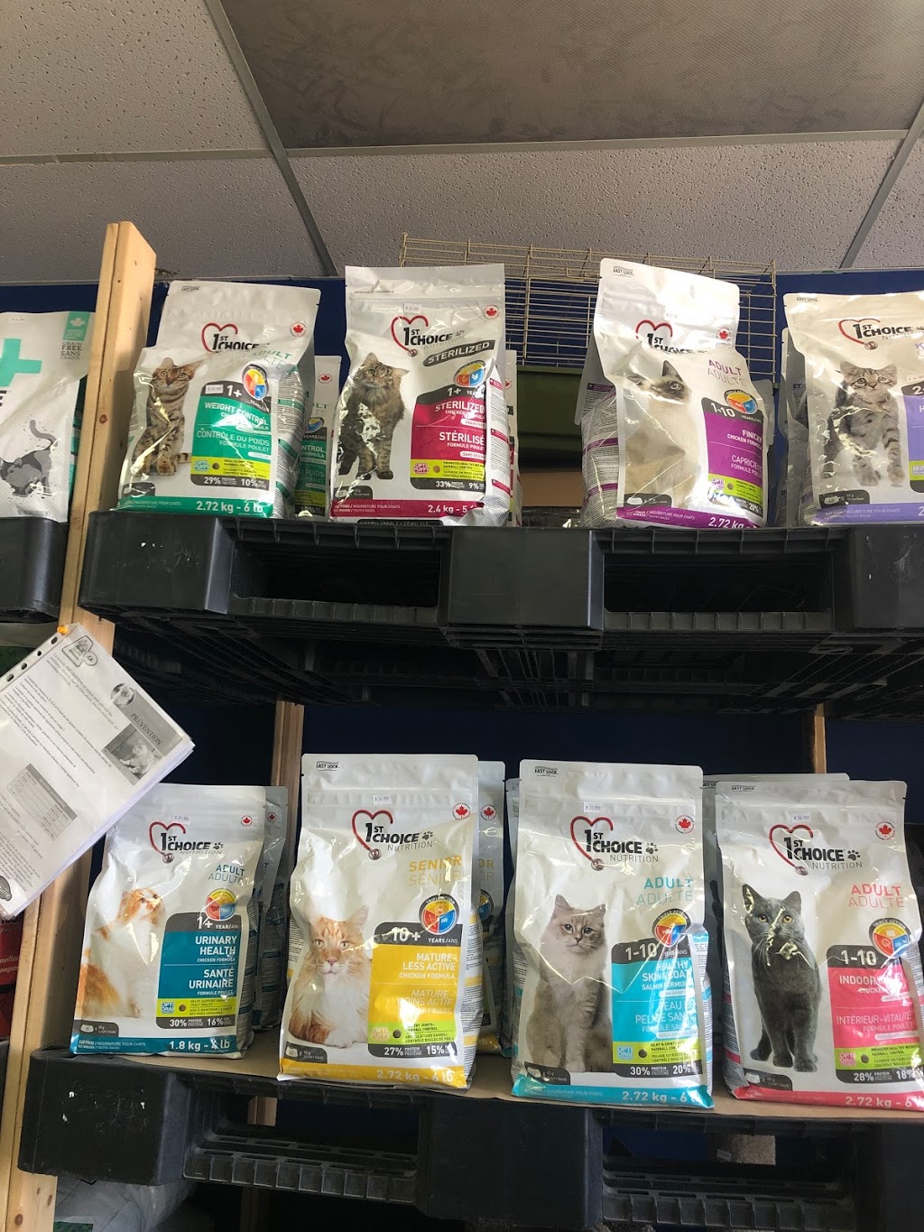 Animalerie Vacourt | 1224-A Rue Saint Joseph, Valcourt, QC J0E 2L0, Canada | Phone: (819) 791-3939