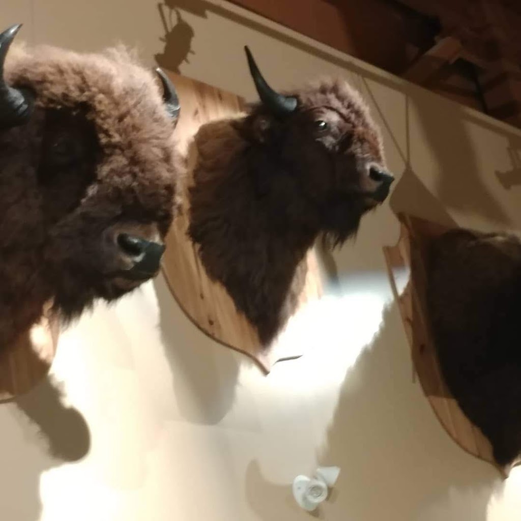 Tsuu Tina Culture Museum | 3700 Anderson Rd SW, Calgary, AB T2W 3C4, Canada | Phone: (403) 238-2677