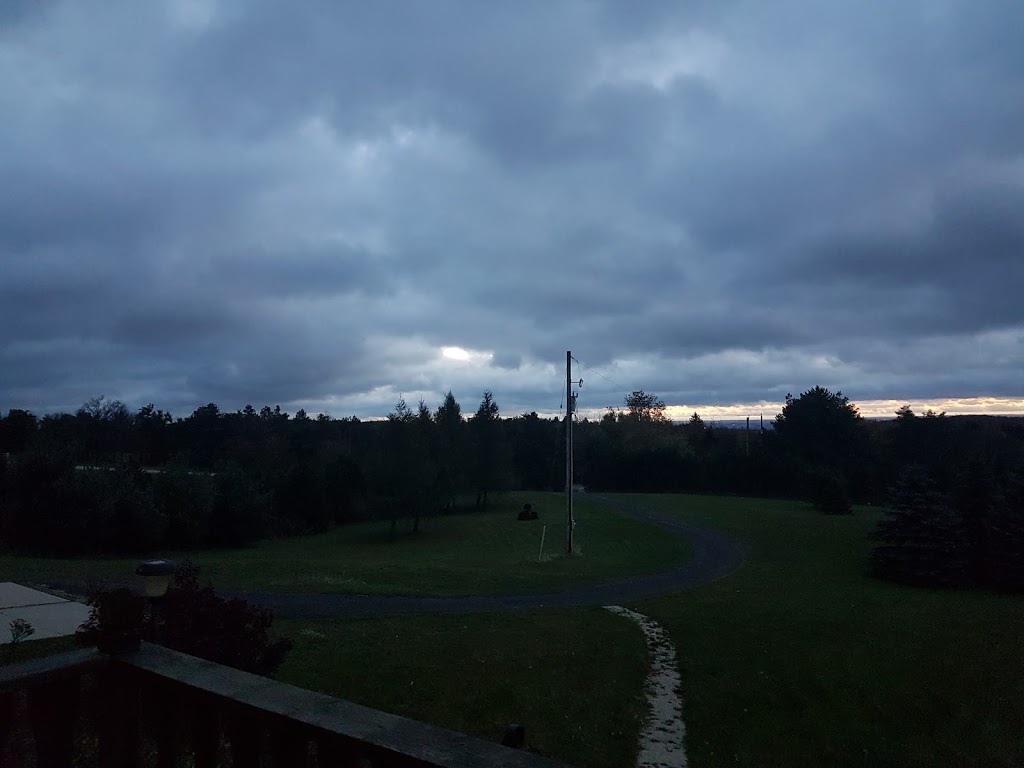 Janet Dane | 1 McCutcheon Rd, Mulmur, ON L9V 3E7, Canada | Phone: (519) 925-1990